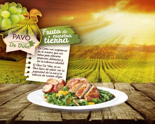 Pavo de Viña
