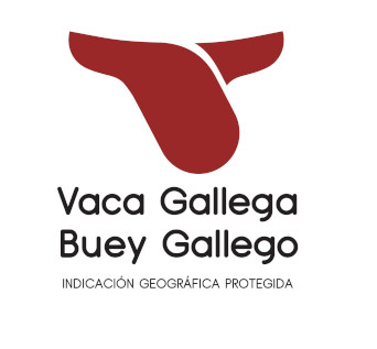 VACA Y BUEY DE GALICIA