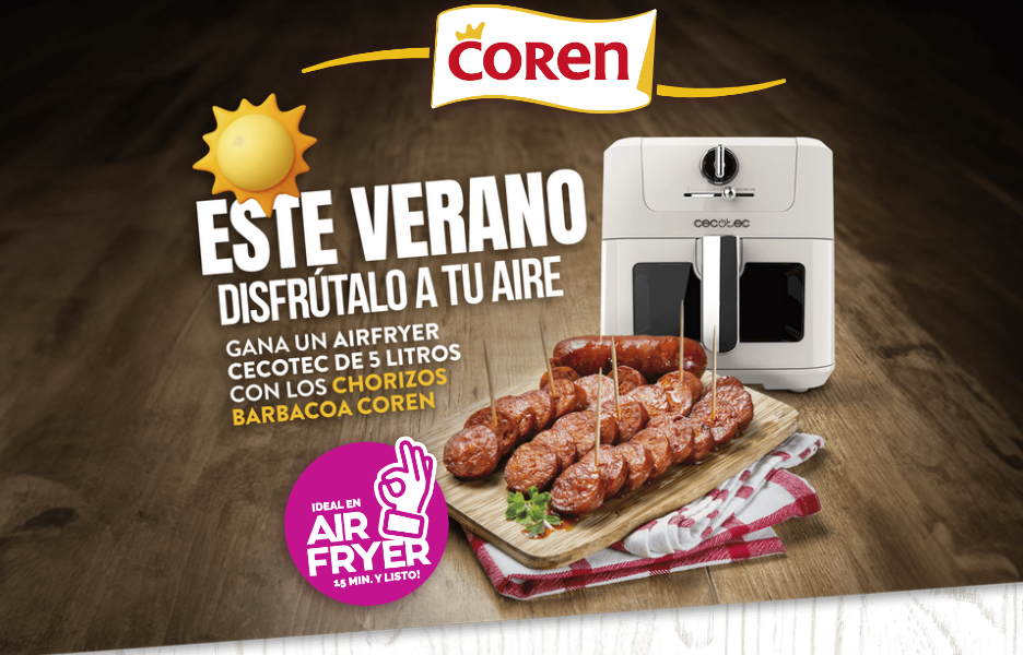 Promo Airfryer Barbacoa
